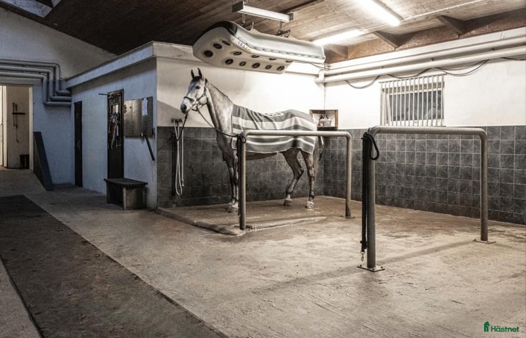  stallplats finnes: Stallplats finnes i Borås i Sparsör - Annons 2