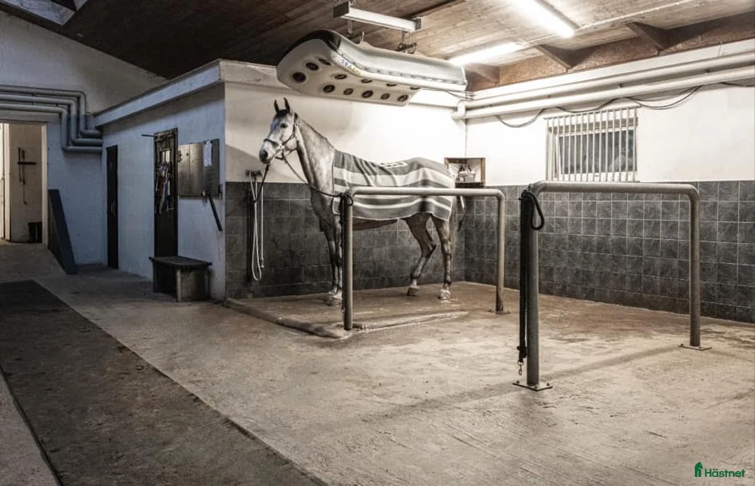  stallplats finnes: Stallplats finnes i Borås i Sparsör - Annons 2