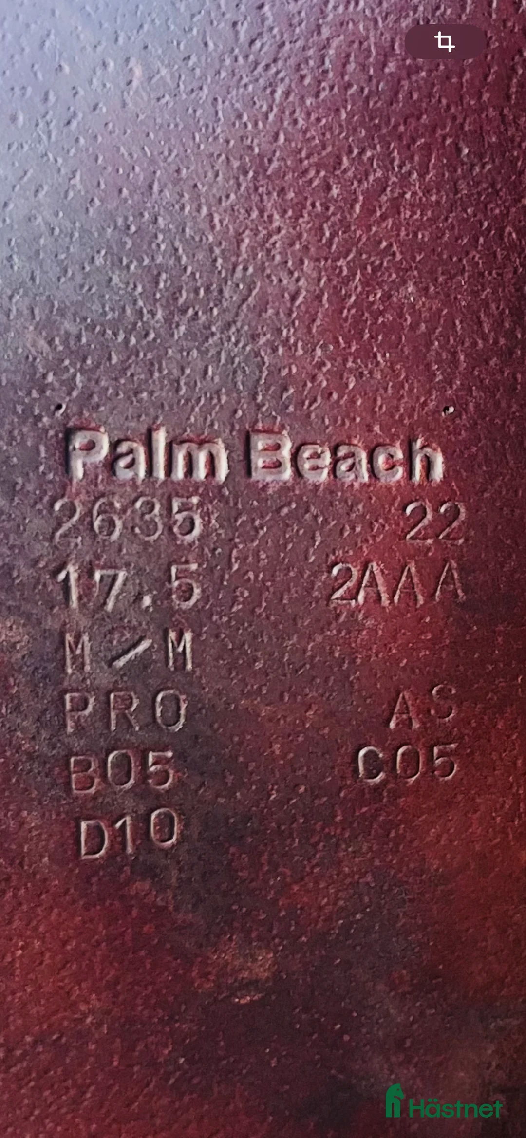 Sadlar hästutrustning till salu: Voltaire Palm Beach Sprangsal - Annons 3