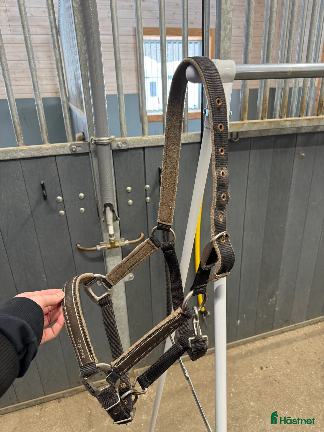 Övrig Hästutrustning hästutrustning till salu: Grimma - Annons 1