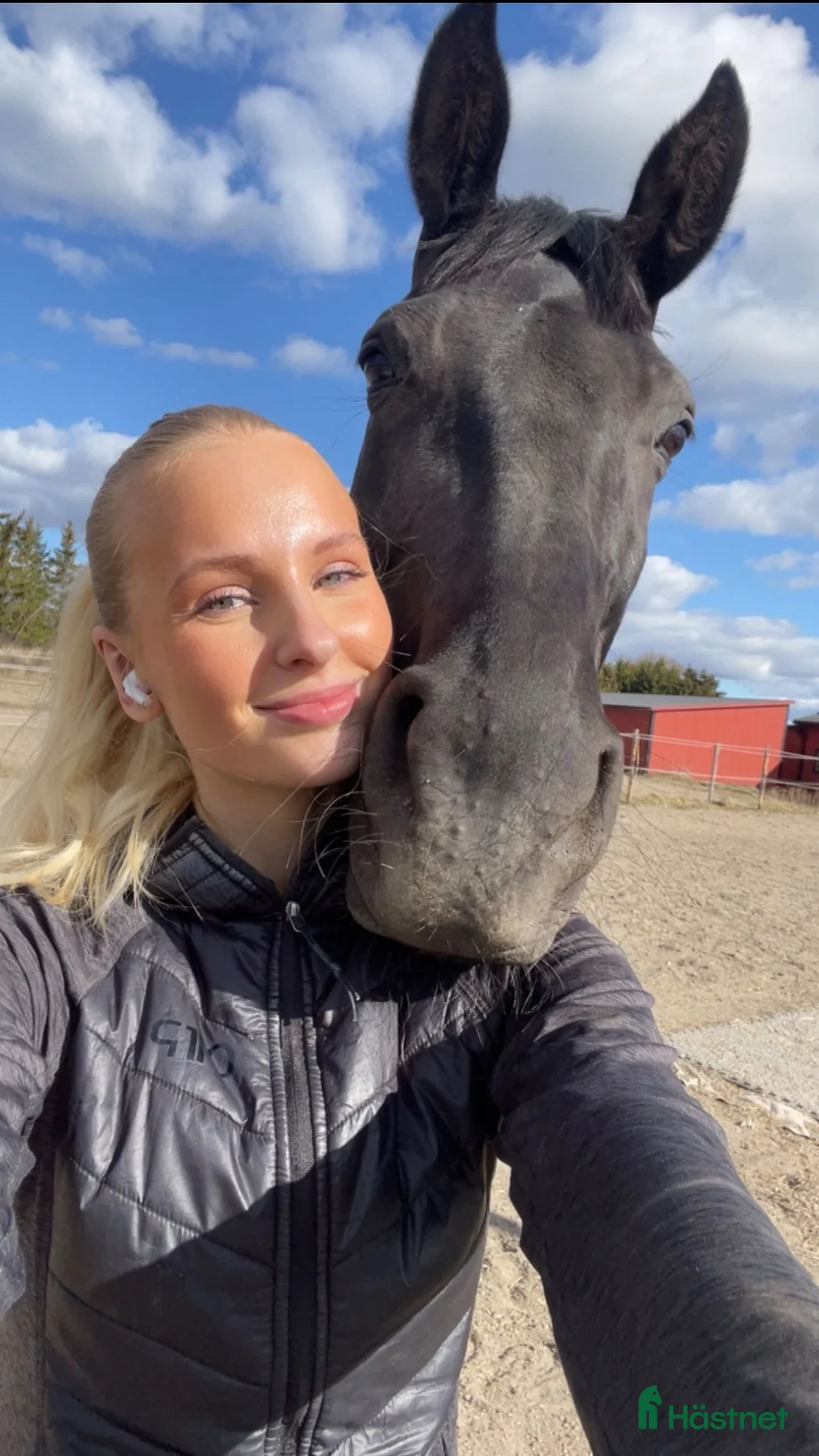  medryttarhäst sökes: Söker ny bästavän i Skå - Annons 2