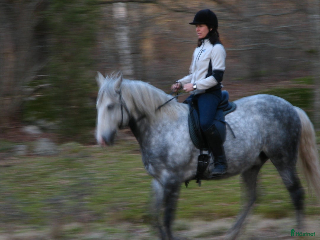 Galleribild {{count}}