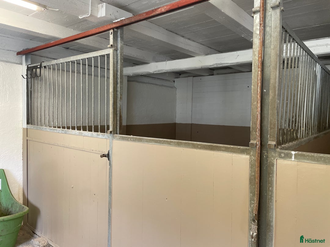  stallplats finnes: Boxplats i mysigt stall för ponny bussförbindelser i Uddevalla - Bild 9