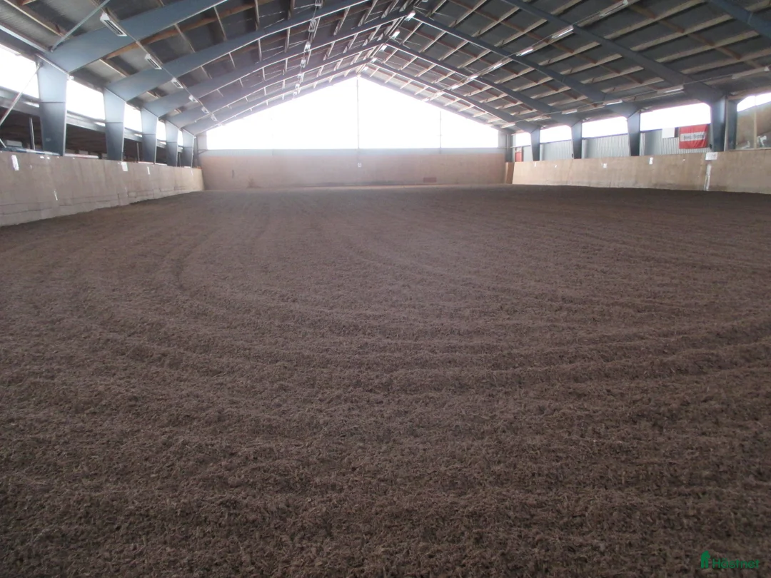  stallplats finnes: Ledig boxplats/lösdrift mellan Malmö/Lund i Staffanstorp - Annons 2