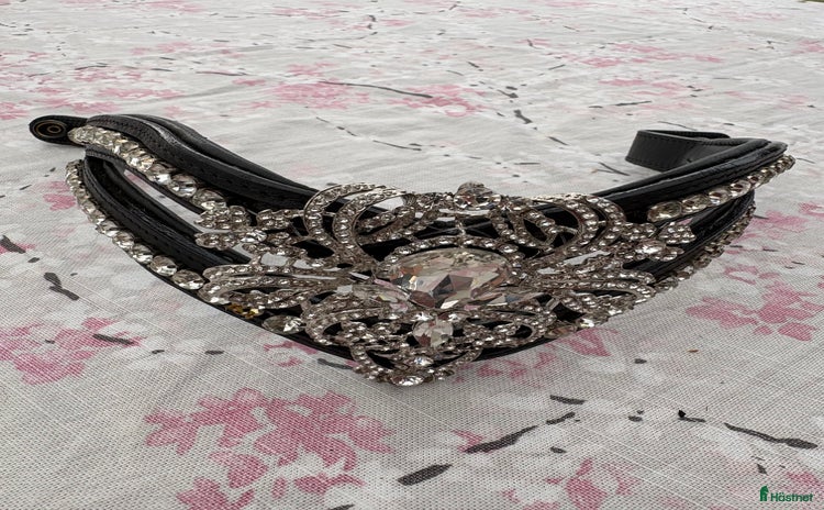 Övrig Hästutrustning hästutrustning till salu: Dubbelt svart pannband med bling cob  i Vaggeryd - Annons 5