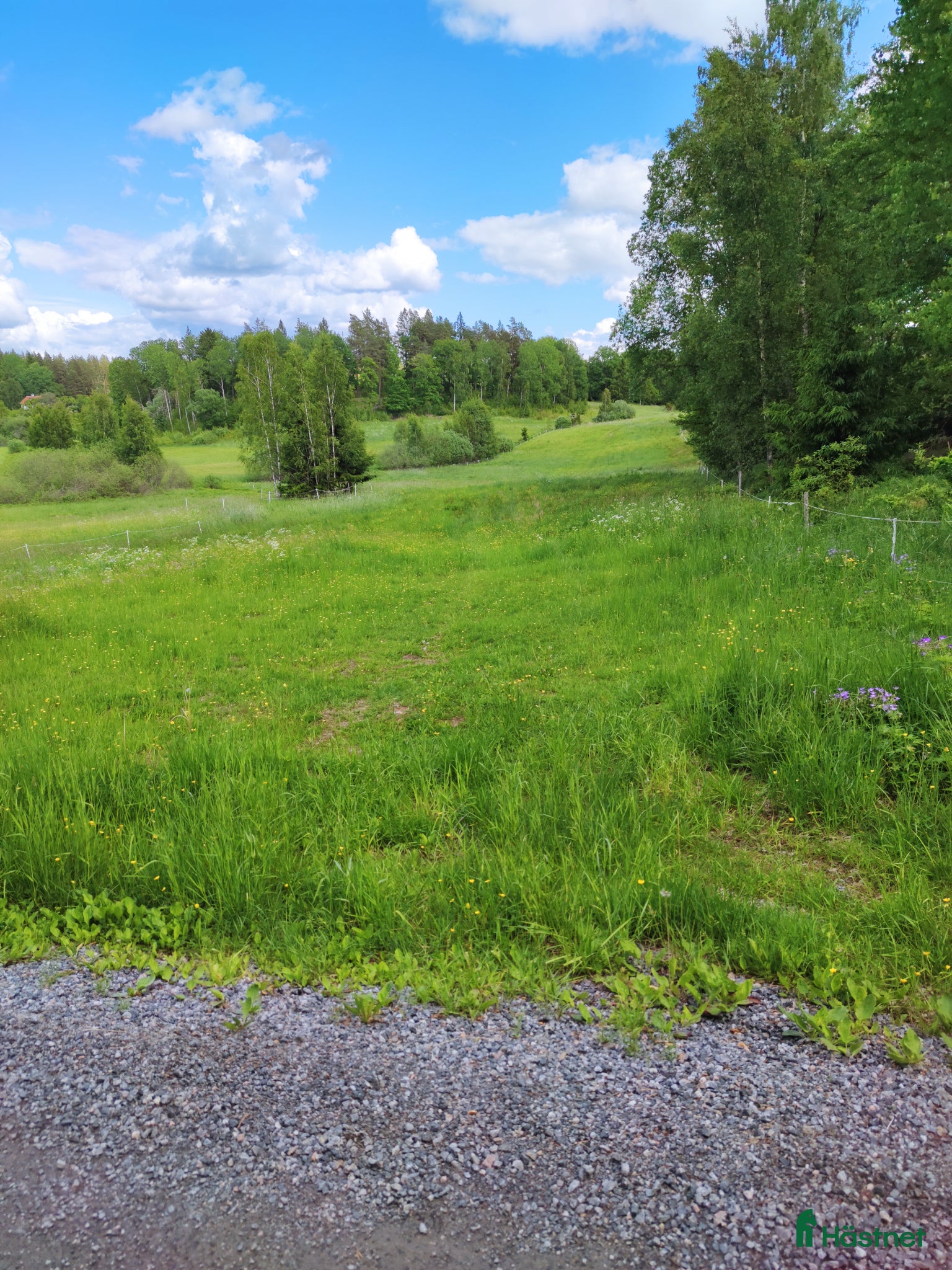  stallplats Stallplats och bete - Annons 11