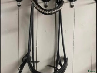 Träns hästutrustning till salu: Sd design träns full i Landskrona - Annons 2