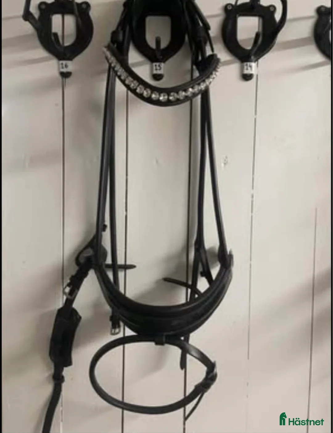 Träns hästutrustning till salu: Sd design träns full i Landskrona - Annons 1