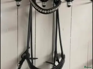 Träns hästutrustning Sd design träns full i Landskrona - Annons 24