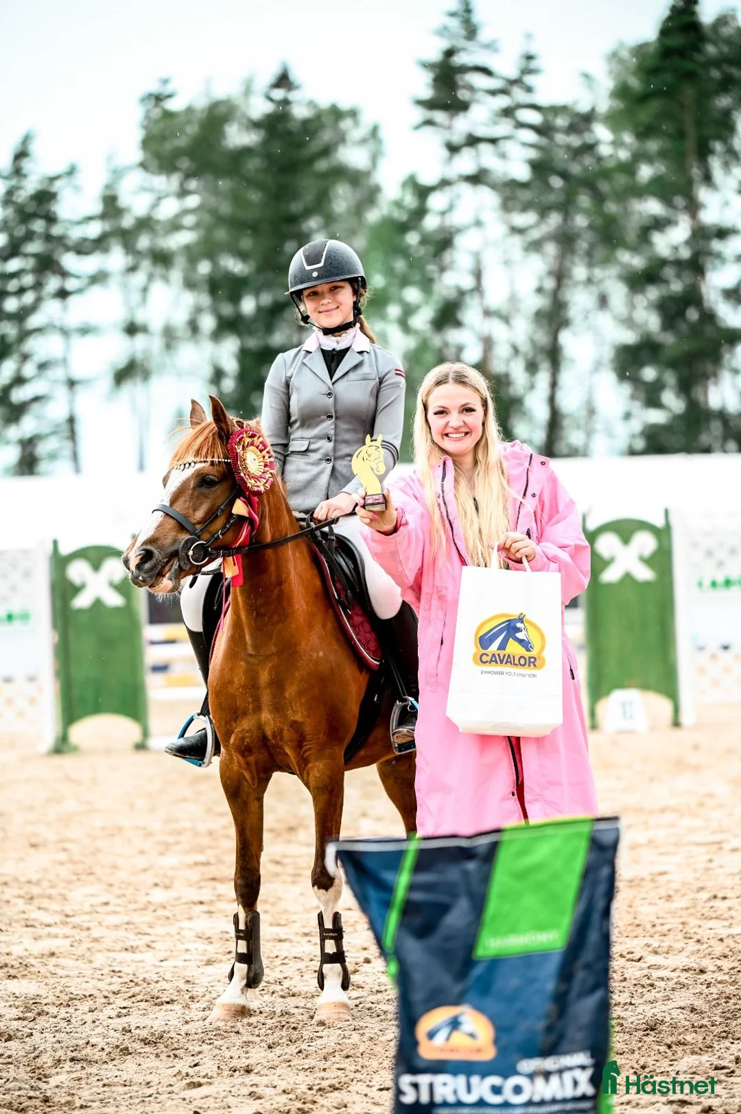 Hoppning hästar till salu: Champion pony i Stockholm - Annons 12