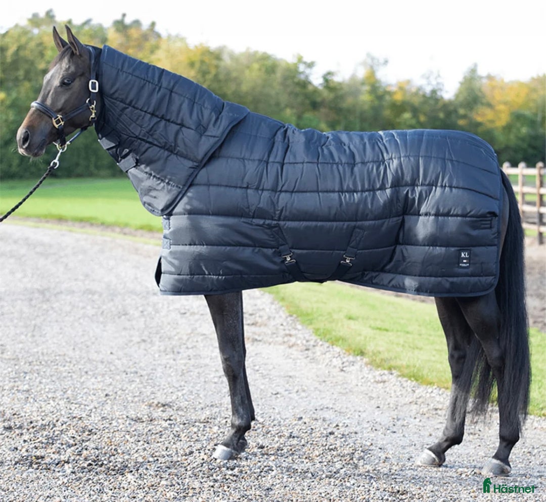 Täcken hästutrustning till salu: Kingsland stalltäcke 155cm i Rättvik - Annons 1