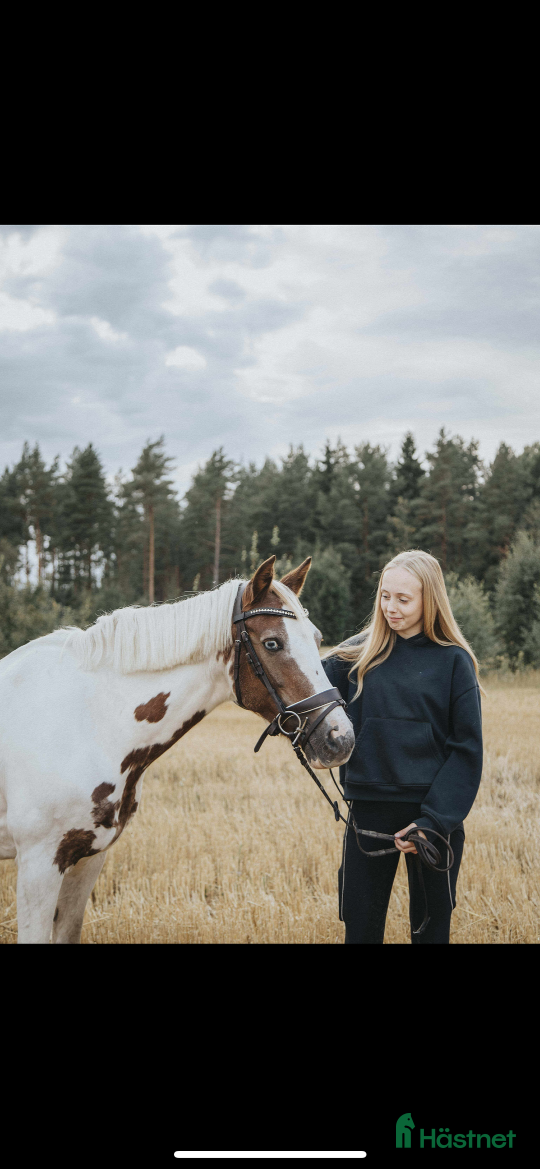Allround hästar till salu: Foder ponny i Tidaholm - Annons 5