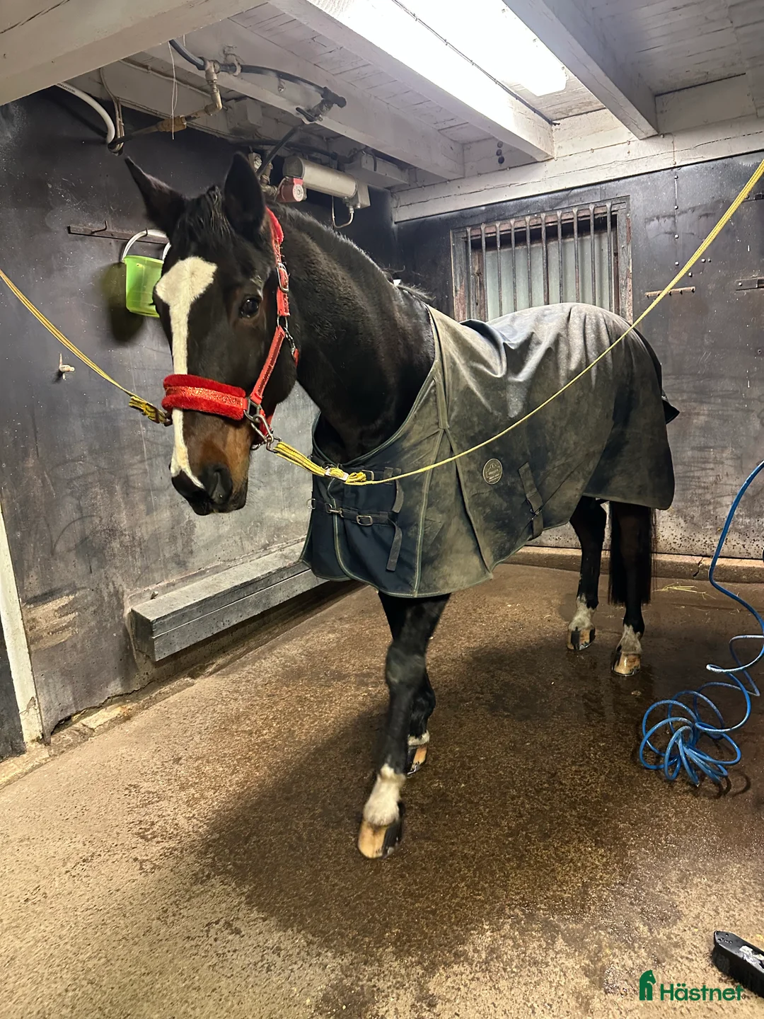 Galleribild {{count}}