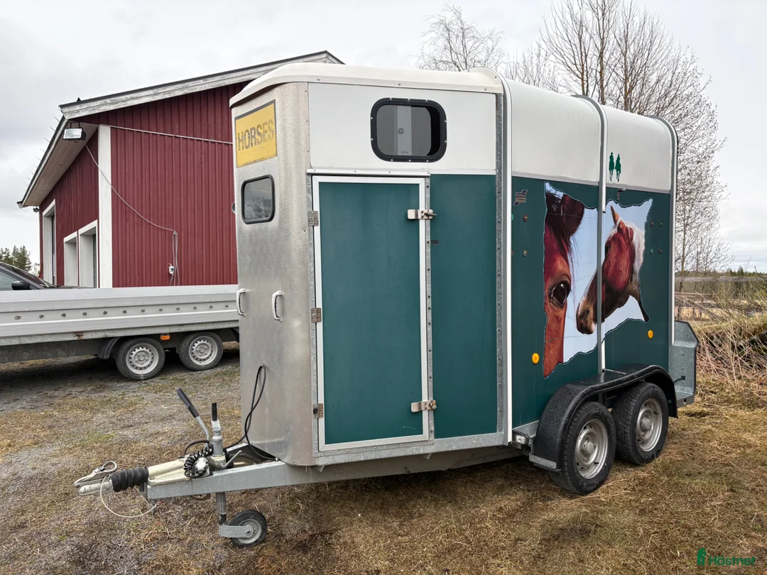 Hästtransporter  fordon & transport till salu: Ifor Williams hästtransport - Annons 1