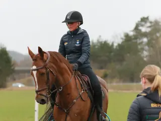 hästar Allround sto / dressyr - Annons 13