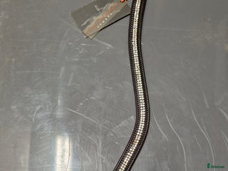 Träns hästutrustning till salu: Pannband i Veberöd - Annons 1