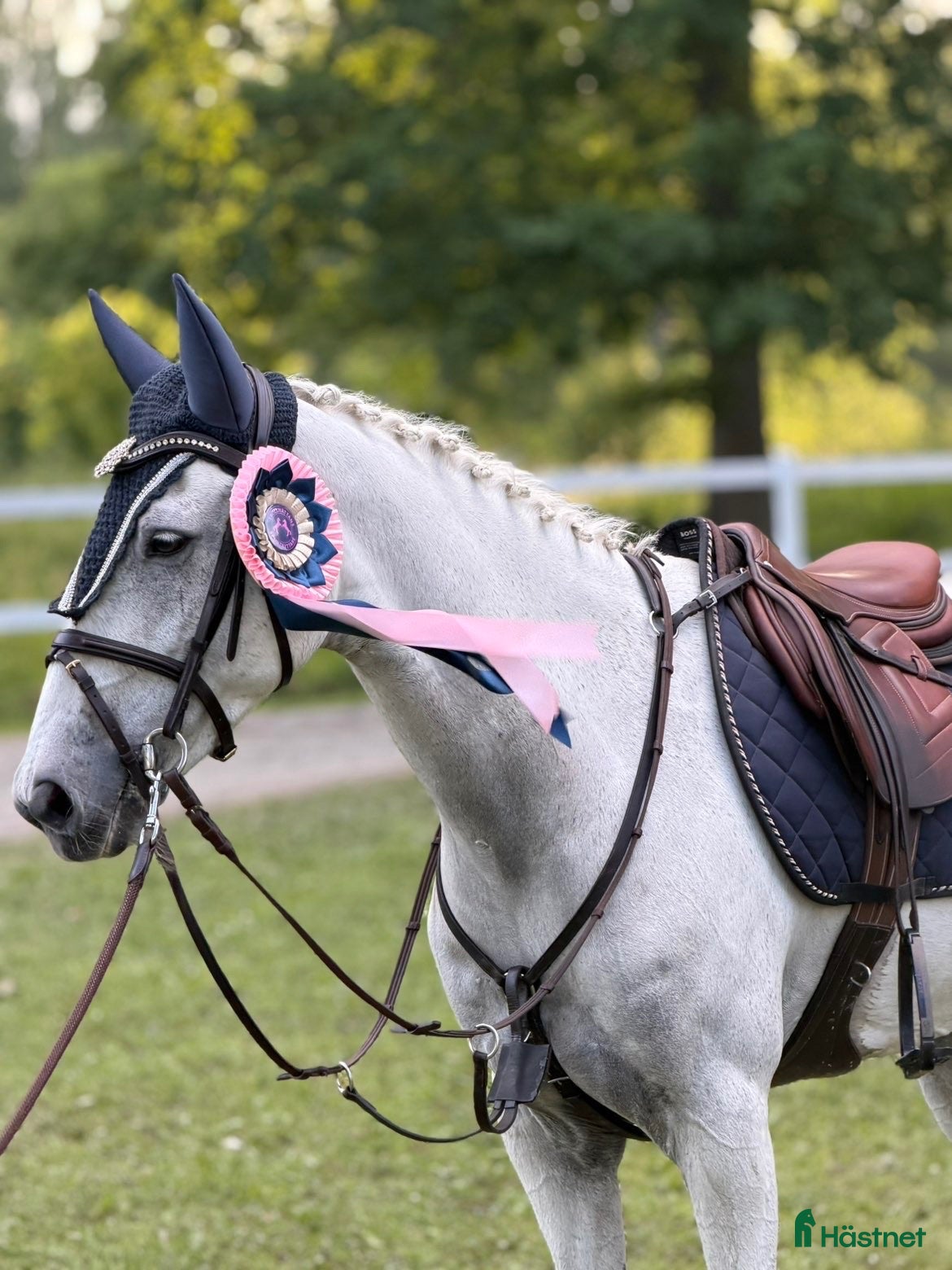 hästar Tävlingsponny - Annons 19
