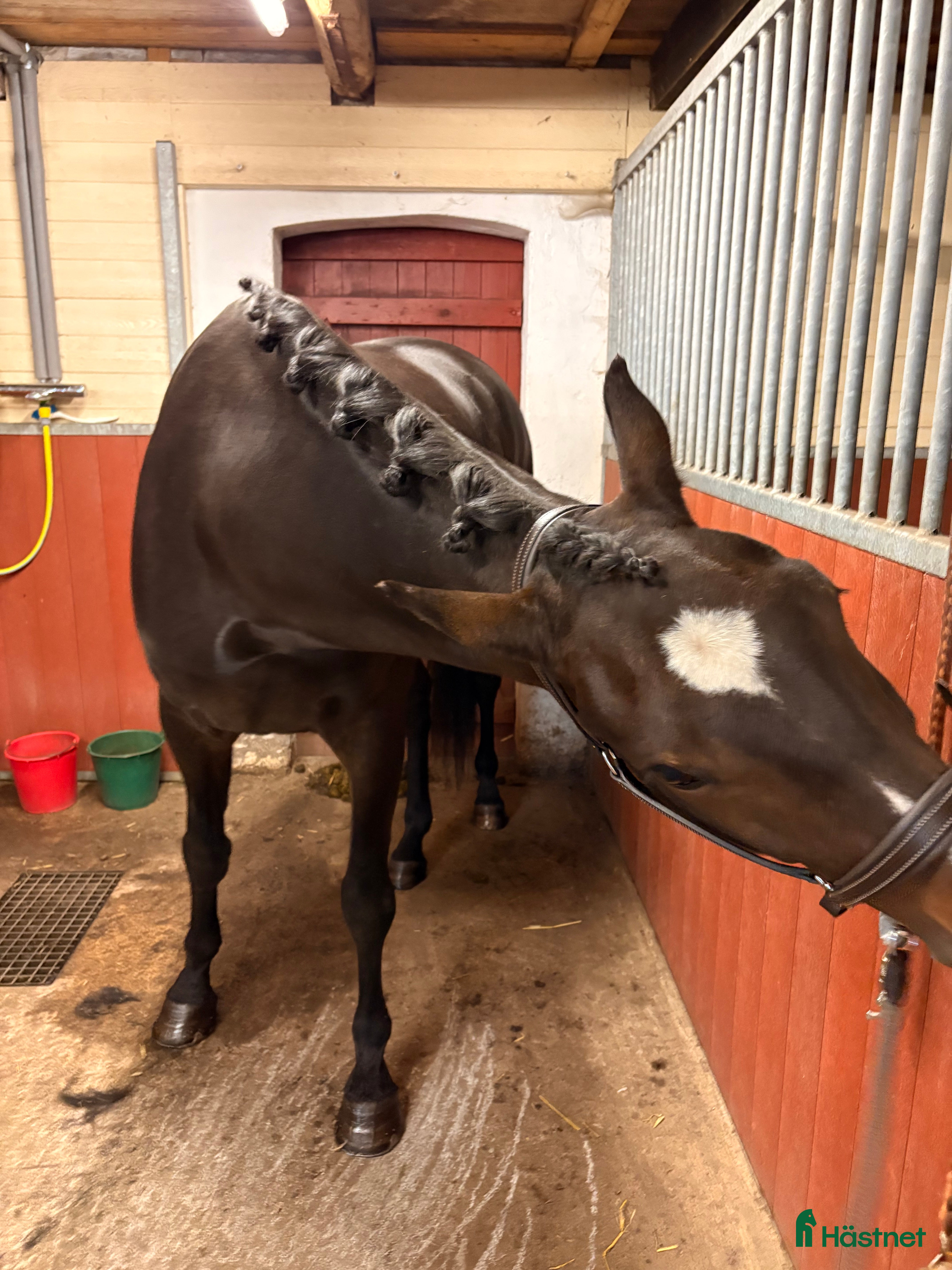  stallplats finnes: Boxplats  i Åhus - Annons 1