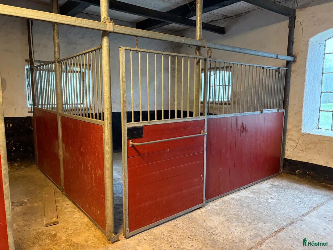 Stallinredning, stängsel & gård övrig utrustning till salu: Stallboxar inklusive inredning Säljes - Annons 7