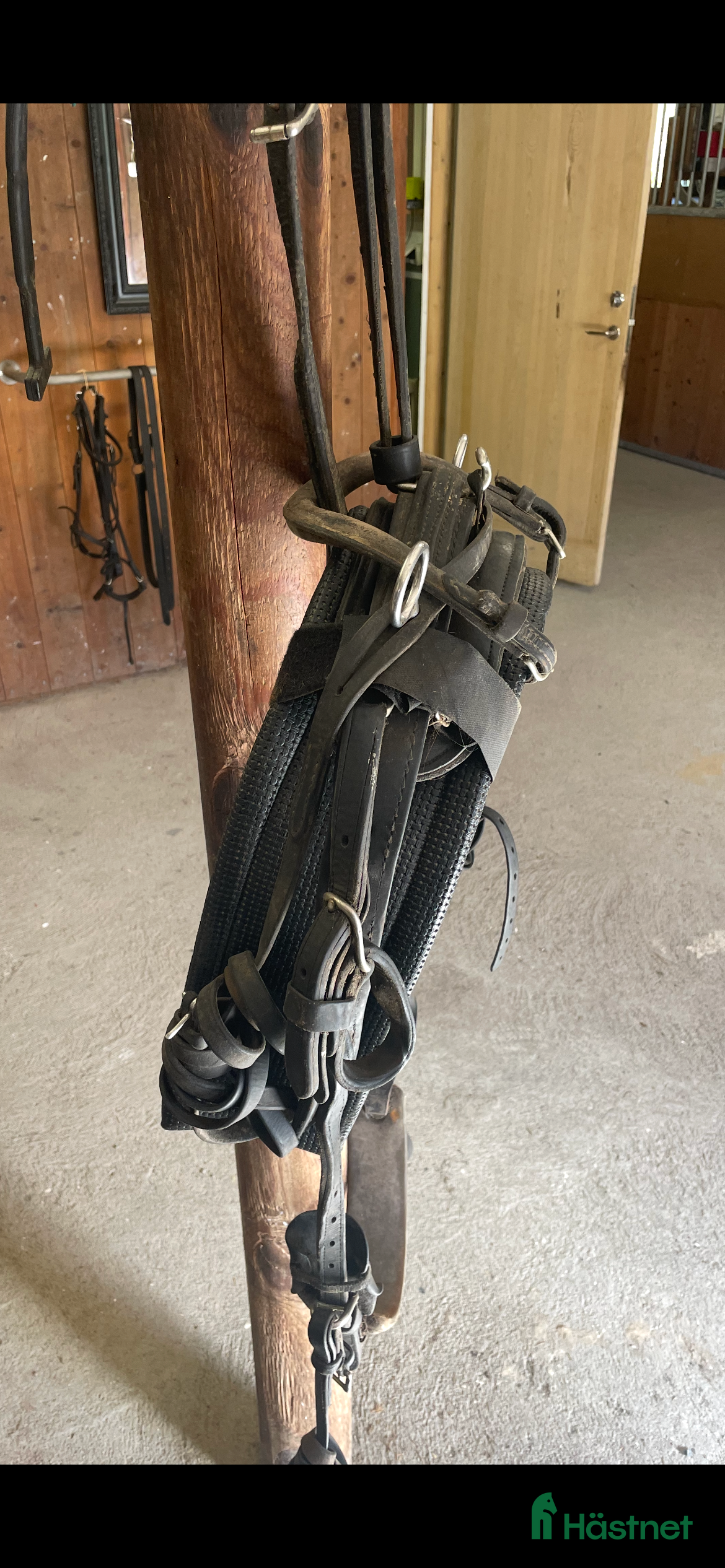 Travselar trav till salu: Remsele  i Askersund - Annons 9