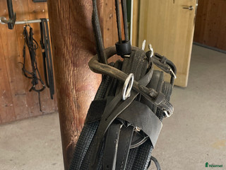 Travselar trav till salu: Remsele i Askersund - Annons 9