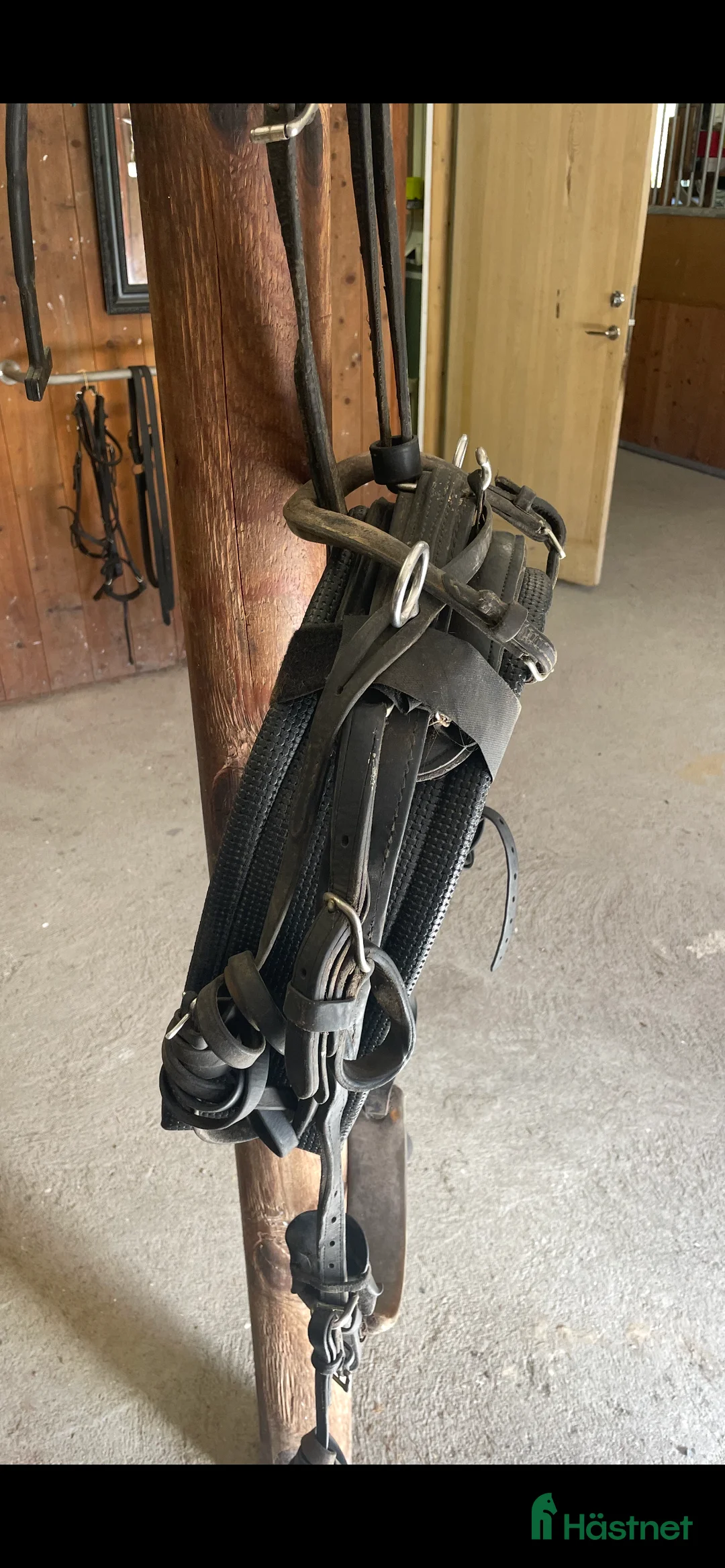 Travselar trav till salu: Remsele  i Askersund - Annons 1