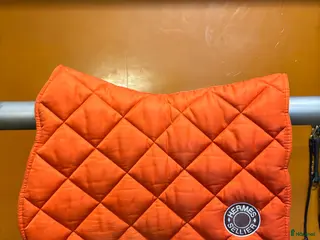 Schabrak & Vojlockar hästutrustning Hermes hoppschabrak - Annons 6