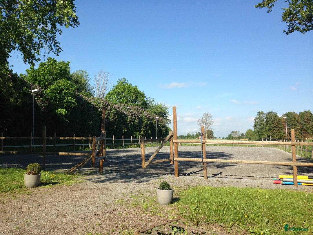  stallplats finnes: Lediga stallplatser, 2 ridhus, inga jourer i Vikingstad - Annons 3