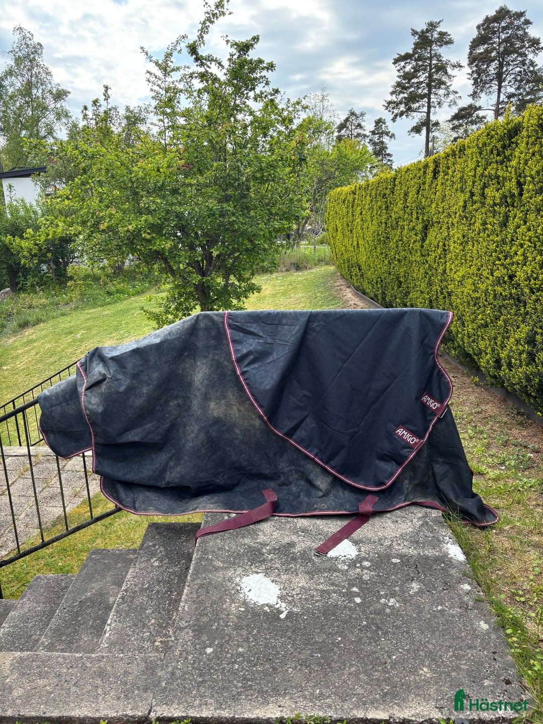 Täcken hästutrustning till salu: Horsewear utetäcken 160 cm - Annons 3