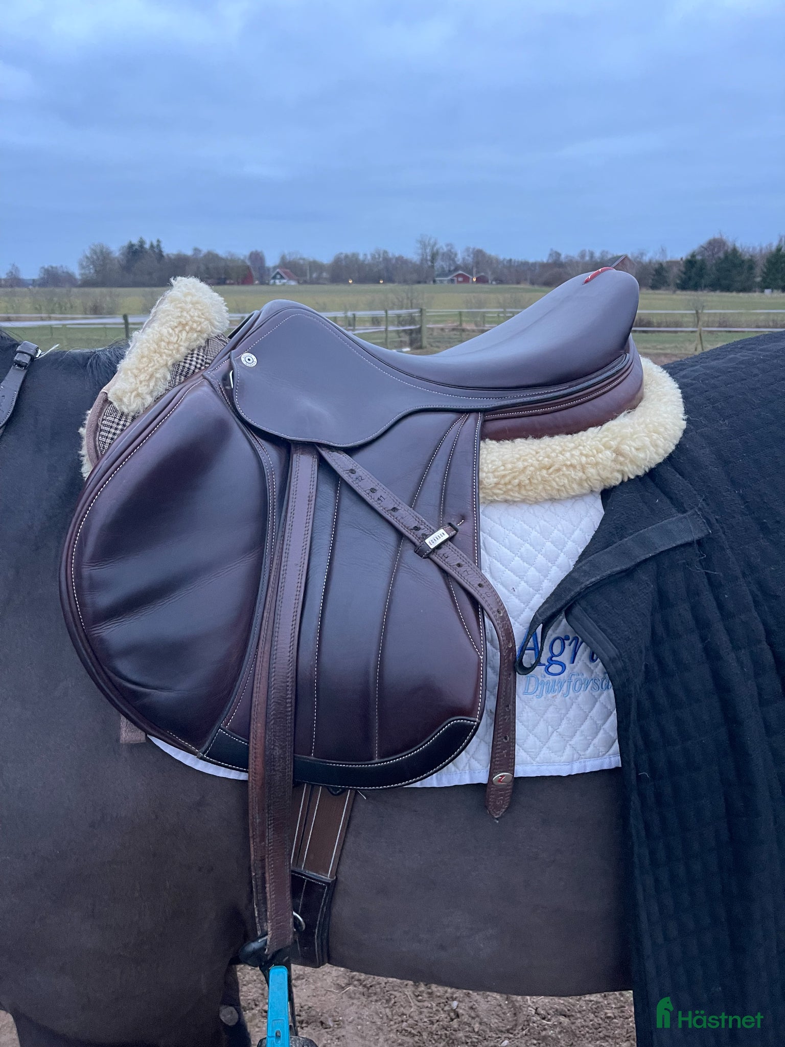 Sadlar hästutrustning Välvårdad Equipe EK26 hoppsadel  - Annons 1