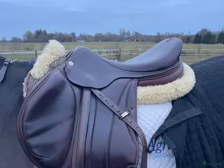 Sadlar hästutrustning Välvårdad Equipe EK26 hoppsadel - Annons 9