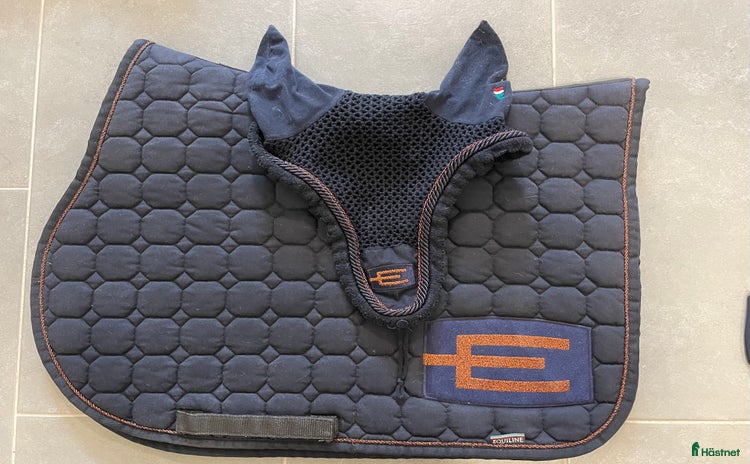 Schabrak & Vojlockar hästutrustning till salu: Schabrak i Göteborg - Annons 7