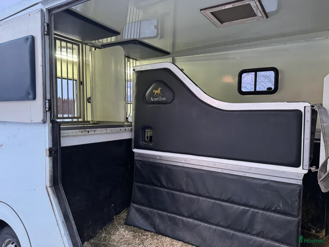 Hästlastbilar  fordon & transport till salu: RENAULT MASTER AMELINE 3 sits 2017 Nyservad! - Annons 20