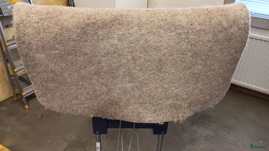 Schabrak & Vojlockar hästutrustning till salu: Western felt saddle pad - Annons 2