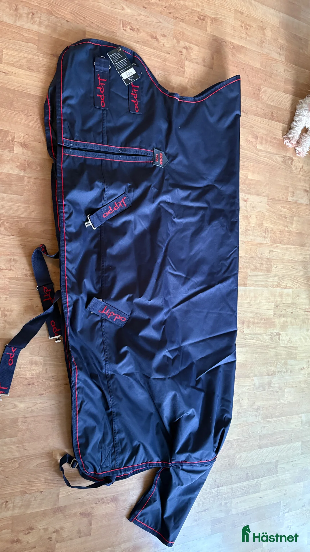 Täcken hästutrustning till salu: Lippo täcke - Annons 2