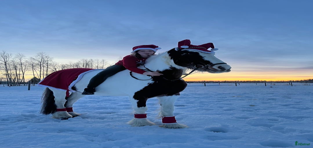 Galleribild {{count}}