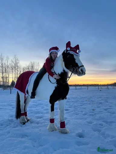 Galleribild {{count}}