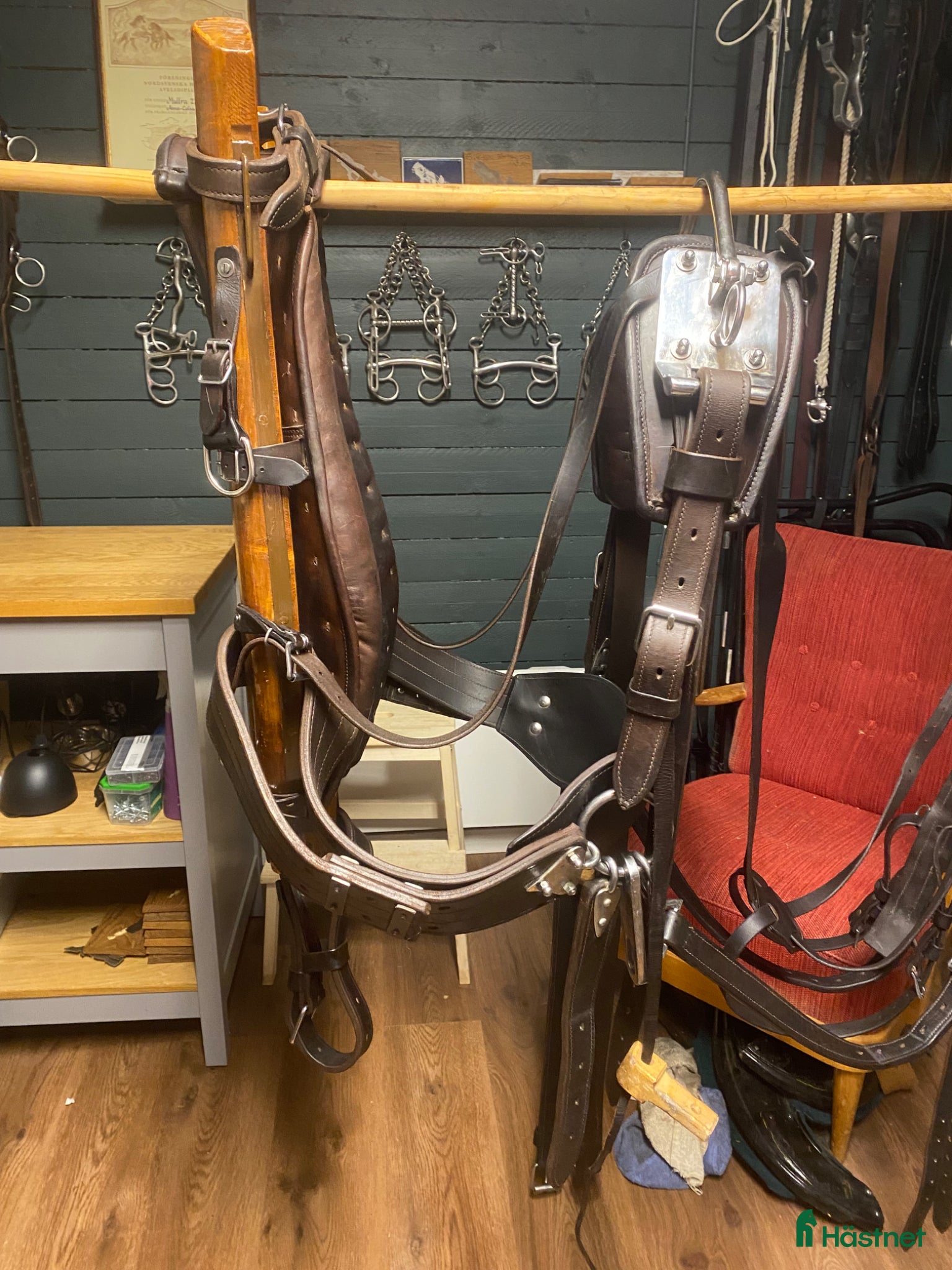 Körselar körning till salu: Tärnsjö sele - Annons 2