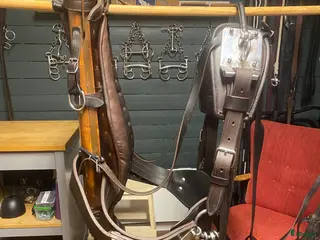 Körselar körning till salu: Tärnsjö sele - Annons 1