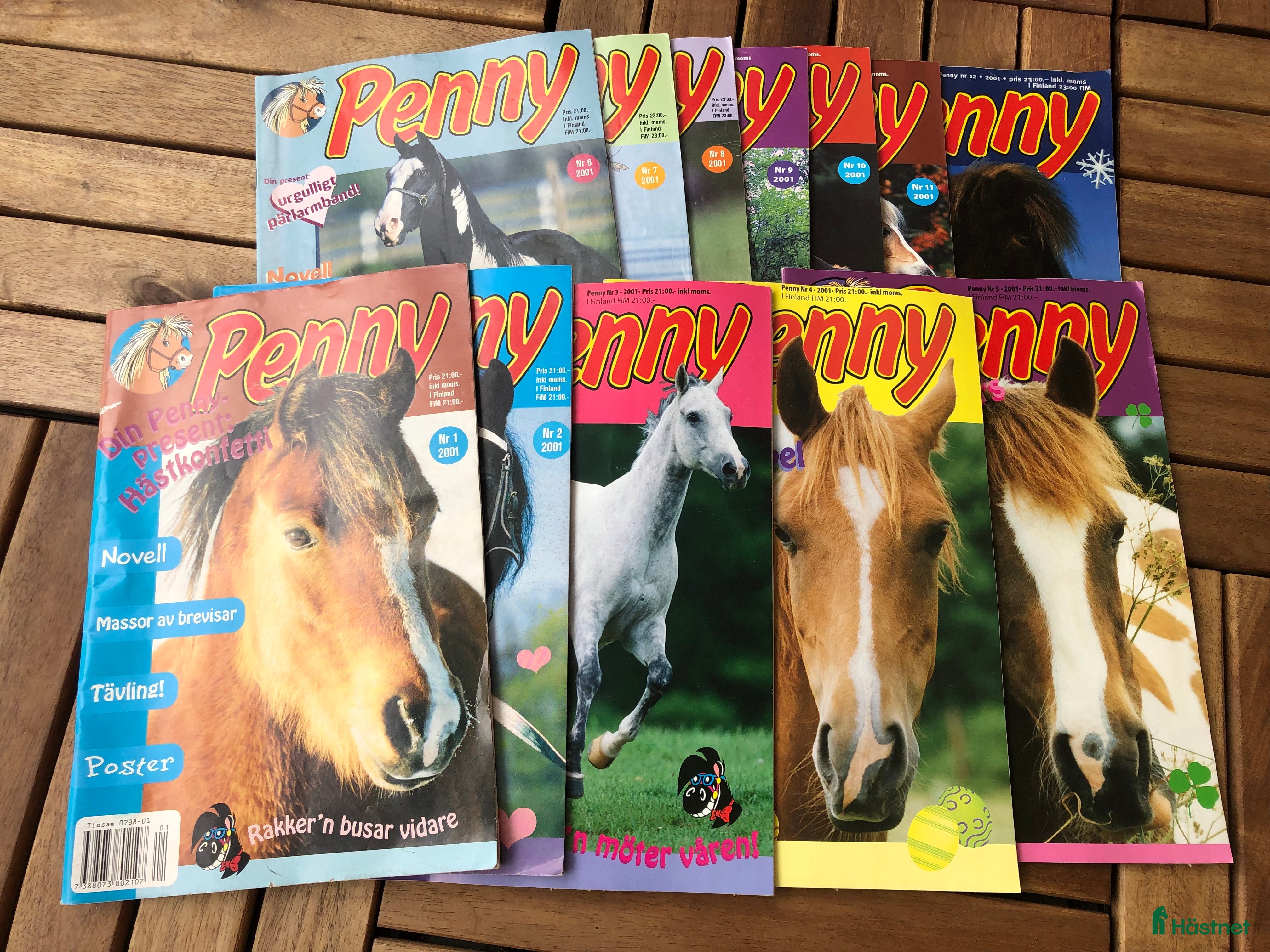 Hästinspirerad heminredning övrig utrustning till salu: Pennytidningar år 2001 i Växjö - Annons 3
