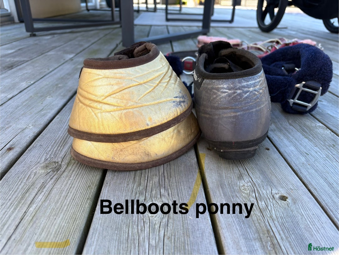 Övrig Hästutrustning hästutrustning till salu: Häst och ponny saker - Annons 9