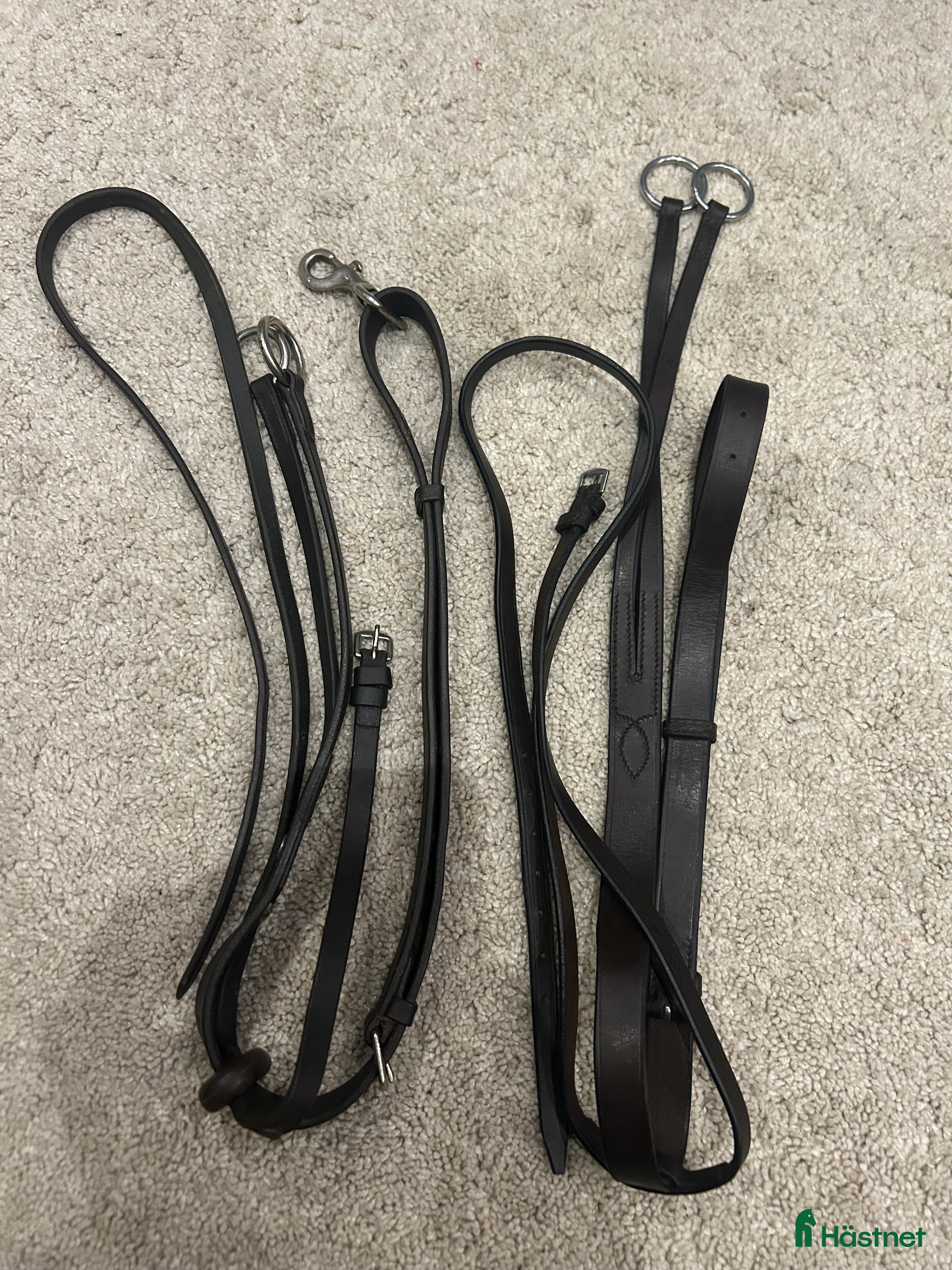 Träns hästutrustning Martingal cob och pony i Enhörna - Annons 22