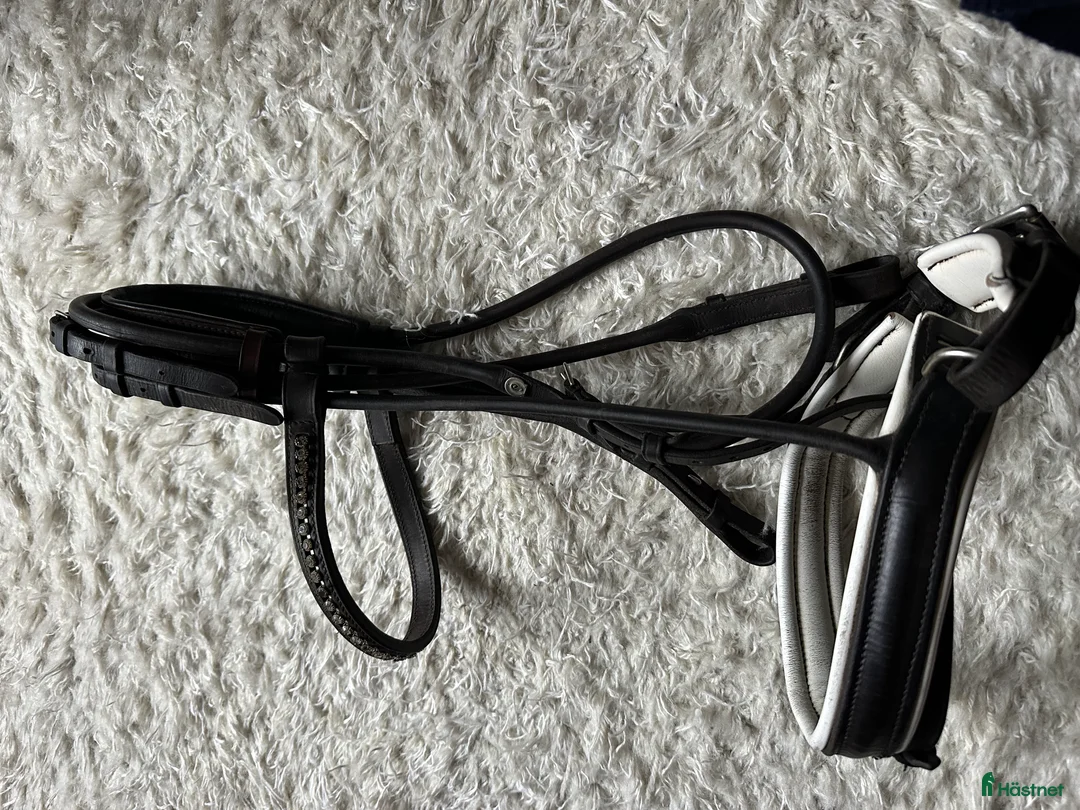 Träns hästutrustning till salu: Otto Schumacher - brunt rundsytt träns i Stockholm - Annons 2