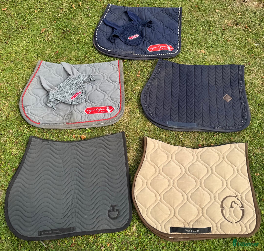 Övrig Hästutrustning hästutrustning till salu: Märkesprylar i Täby - Annons 1