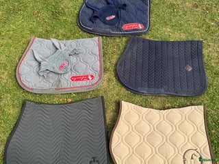 Övrig Hästutrustning hästutrustning till salu: Märkesprylar i Täby - Annons 3