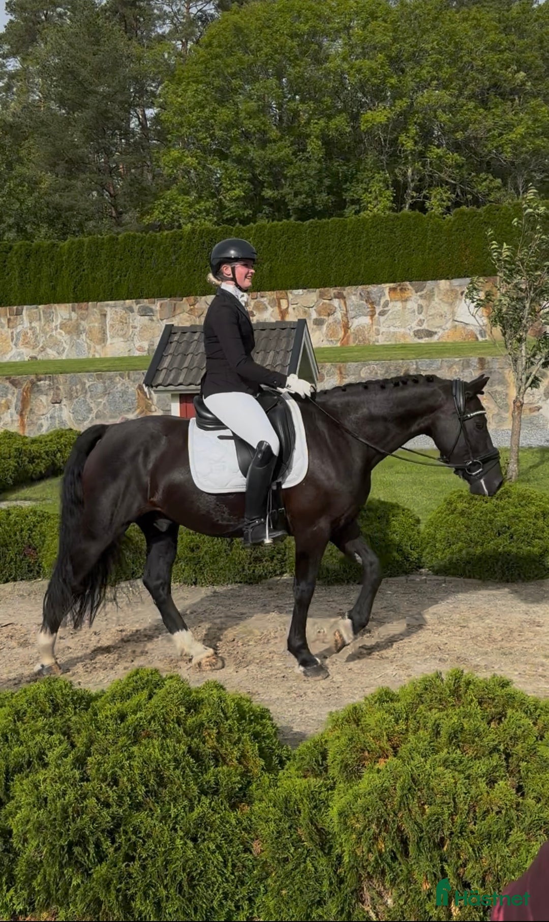 Dressyr hästar till salu: Drömponny med stor framtid i Rimbo - Annons 1