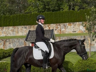 hästar Drömponny med stor framtid i Rimbo - Annons 6