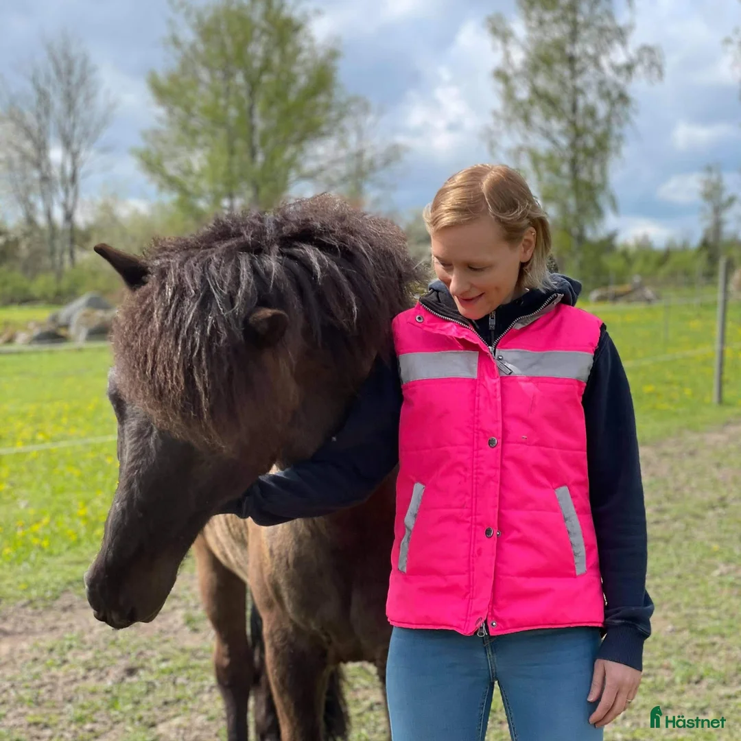  hästjobb finnes: Stalljobb sökes i Linköping  i Linköping - Annons 2