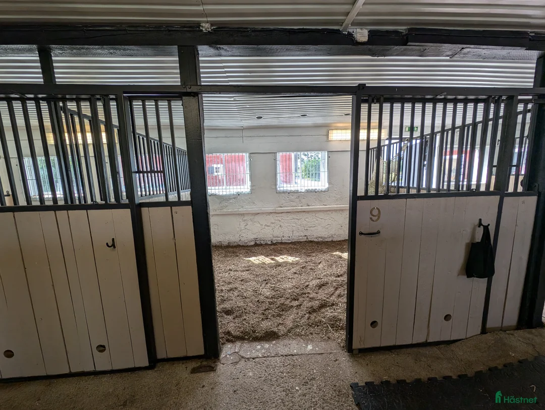  stallplats finnes: Ledig plats på lösdrift med fullservice - Annons 6
