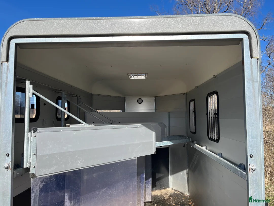 Hästtransporter  fordon & transport till salu: Böckmann Traveller 3 hästars ! i Örsundsbro - Annons 3